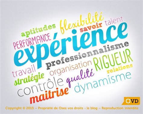 expérience professionnelle synonyme.